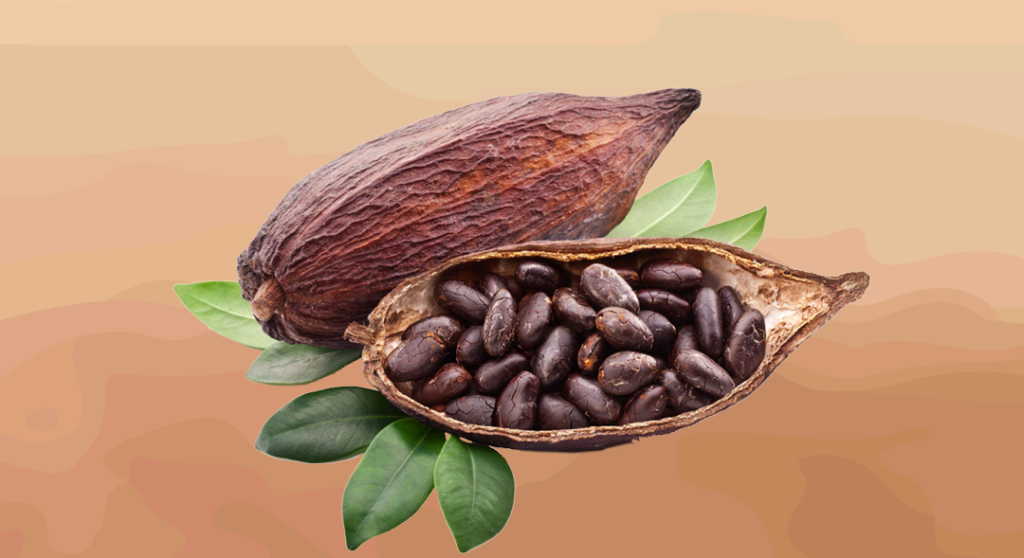 Cérémonie du Cacao Sacré